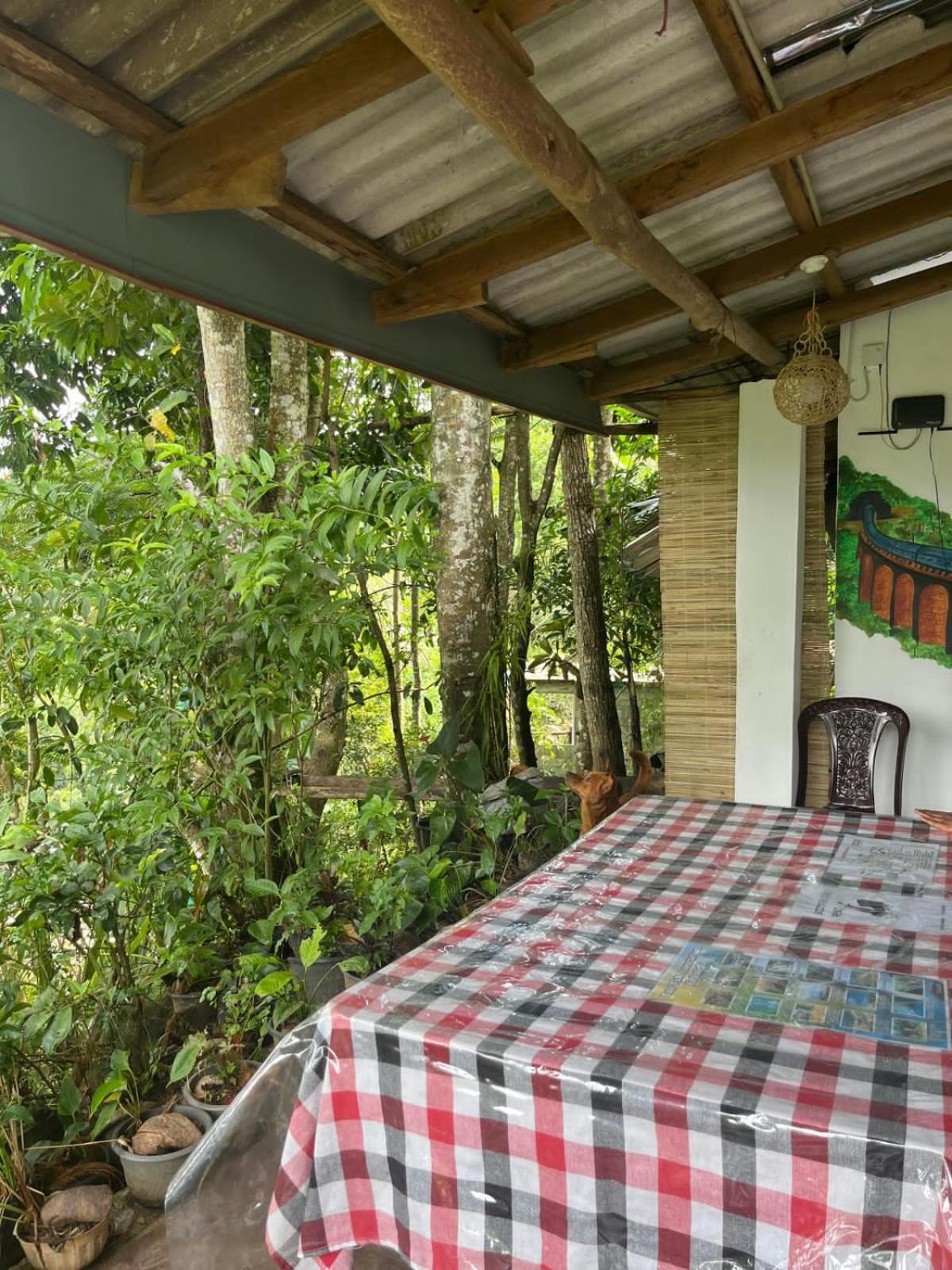 Himansa Homestay Ella Exterior photo